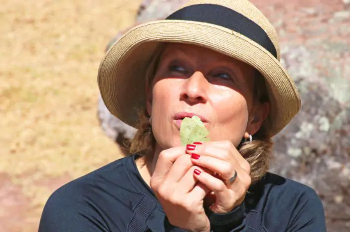 Elke Steinbach, Inka-Meisterin aus Deutschland, beim Pusten in Coca-Blätter während einer Despacho-Zeremonie in Peru